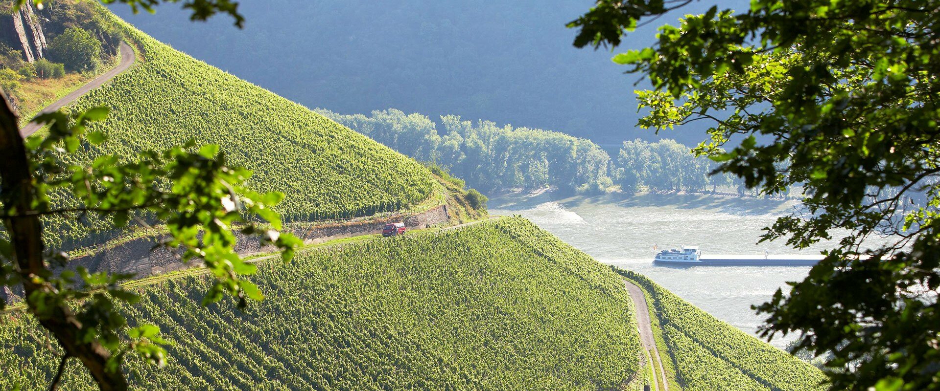 start_weingut-1920x800 start_weingut-1920x800